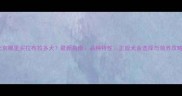 北京哪里买拉布拉多犬最新指南品种特性正规犬舍选择与领养攻略