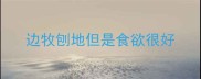 边牧刨地但是食欲很好