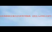 边牧挠痒痒的正确方法与科学护理指南边牧主人必学的5大技巧