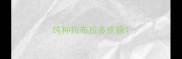 纯种拉布拉多疾病