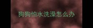 狗狗怕水洗澡怎么办
