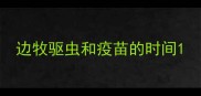 边牧驱虫和疫苗的时间