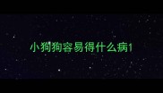 小狗狗容易得什么病