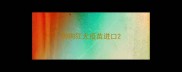 狗狗狂犬疫苗进口