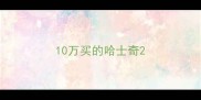 10万买的哈士奇