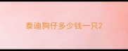 泰迪狗仔多少钱一只