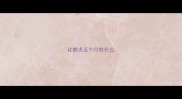 比熊犬五个月吃什么