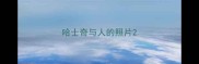 哈士奇与人的照片