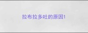 拉布拉多吐的原因