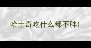 哈士奇吃什么都不胖