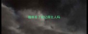 猫咪丢了能记得主人吗