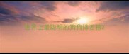 世界上最聪明的狗狗排名榜