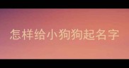 怎样给小狗狗起名字