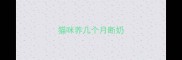 猫咪养几个月断奶