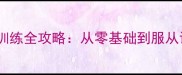 新手必看拉布拉多训练全攻略从零基础到服从训练的12周养成计划