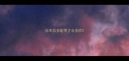 拉布拉多配早了会怎样