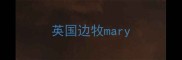 英国边牧mary