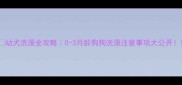 幼犬洗澡全攻略0-3月龄狗狗洗澡注意事项大公开