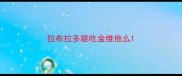 拉布拉多能吃金维他么