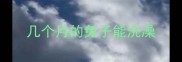 几个月的兔子能洗澡