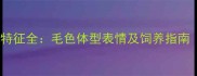 拉布拉多犬外貌特征全毛色体型表情及饲养指南附训练技巧