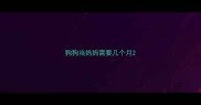 狗狗当妈妈需要几个月