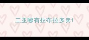 三亚哪有拉布拉多卖