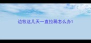 边牧这几天一直拉稀怎么办