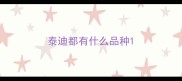 泰迪都有什么品种