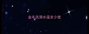 金毛洗澡水温多少度