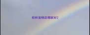 桂林宠物店哪家好