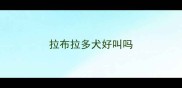拉布拉多犬好叫吗