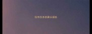 拉布拉多的鼻头褪色