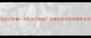 边牧25斤体重一天吃多少狗粮边境牧羊犬科学喂养全攻略