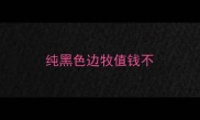 纯黑色边牧值钱不