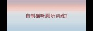 自制猫咪厕所训练
