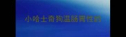 小哈士奇狗温肠胃性的