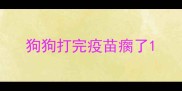 狗狗打完疫苗瘸了