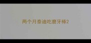 两个月泰迪吃磨牙棒
