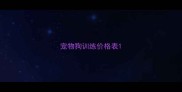 宠物狗训练价格表