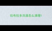 拉布拉多洗澡怎么清理