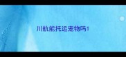 川航能托运宠物吗