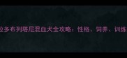 拉布拉多布列塔尼混血犬全攻略性格饲养训练指南