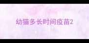 幼猫多长时间疫苗
