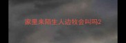 家里来陌生人边牧会叫吗
