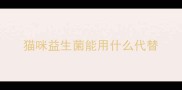 猫咪益生菌能用什么代替