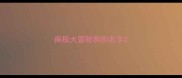 南极大冒险狗狗名字