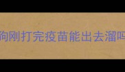 狗刚打完疫苗能出去溜吗