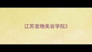 江苏宠物美容学院