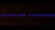 拉布拉多耳朵护理全攻略如何预防耳部感染和异味